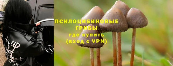 ешки Алексин