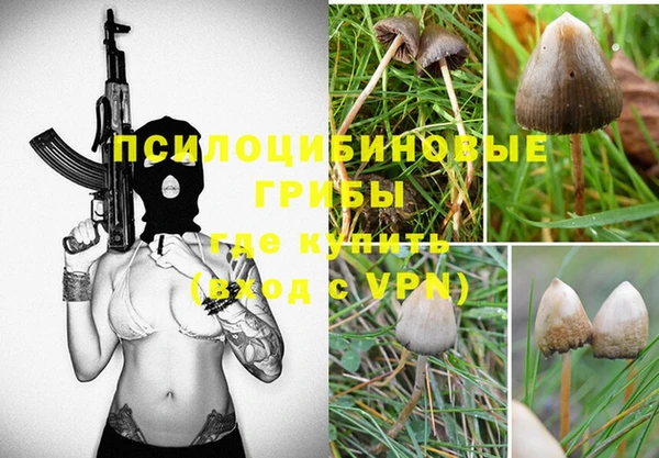 соль ск Алзамай