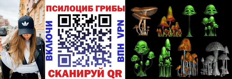 Псилоцибиновые грибы Psilocybe  Луза 